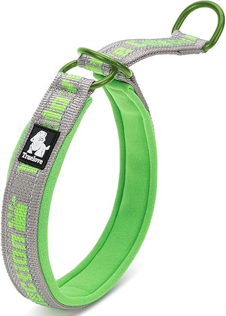 nylon dog choke collar