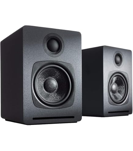 Amazon.com: Audioengine A2 Black Computer Speakers with S6