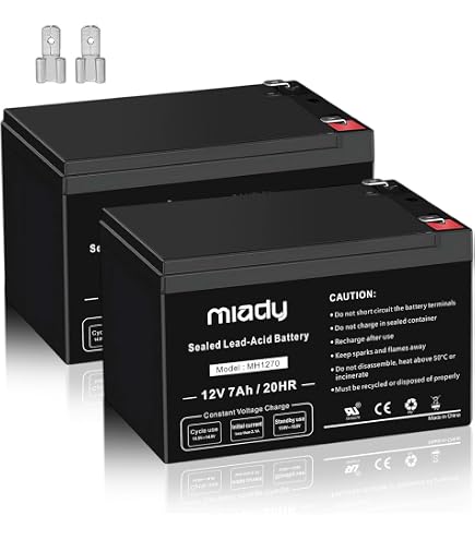 Amazon.com: Wps b49-6 battery w/acid pack b49-6 (B49-6) : Automotive