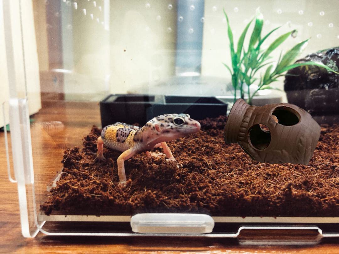 View 7