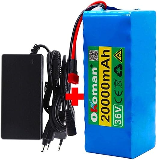 36V 100Ah E-Bike Akku - Lithium-Ionen Batterie Mit Ladegerät Für Elektrofahrräder