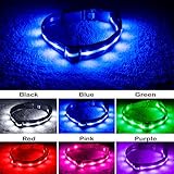 Blazin' Safety LED Dog Collar - USB Rechargeable with Water Resistant Flashing Light, Medium, Blue