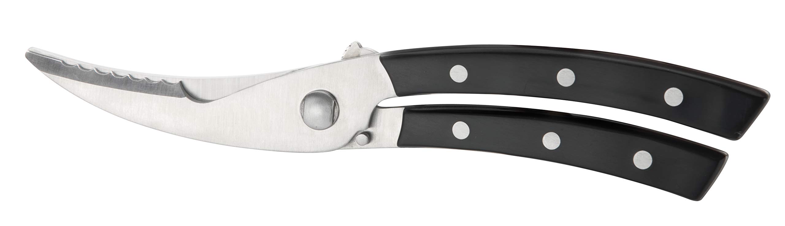 Tescoma Poultry Shears Azza, Assorted, 30 x 7.2 x 2.2 cm