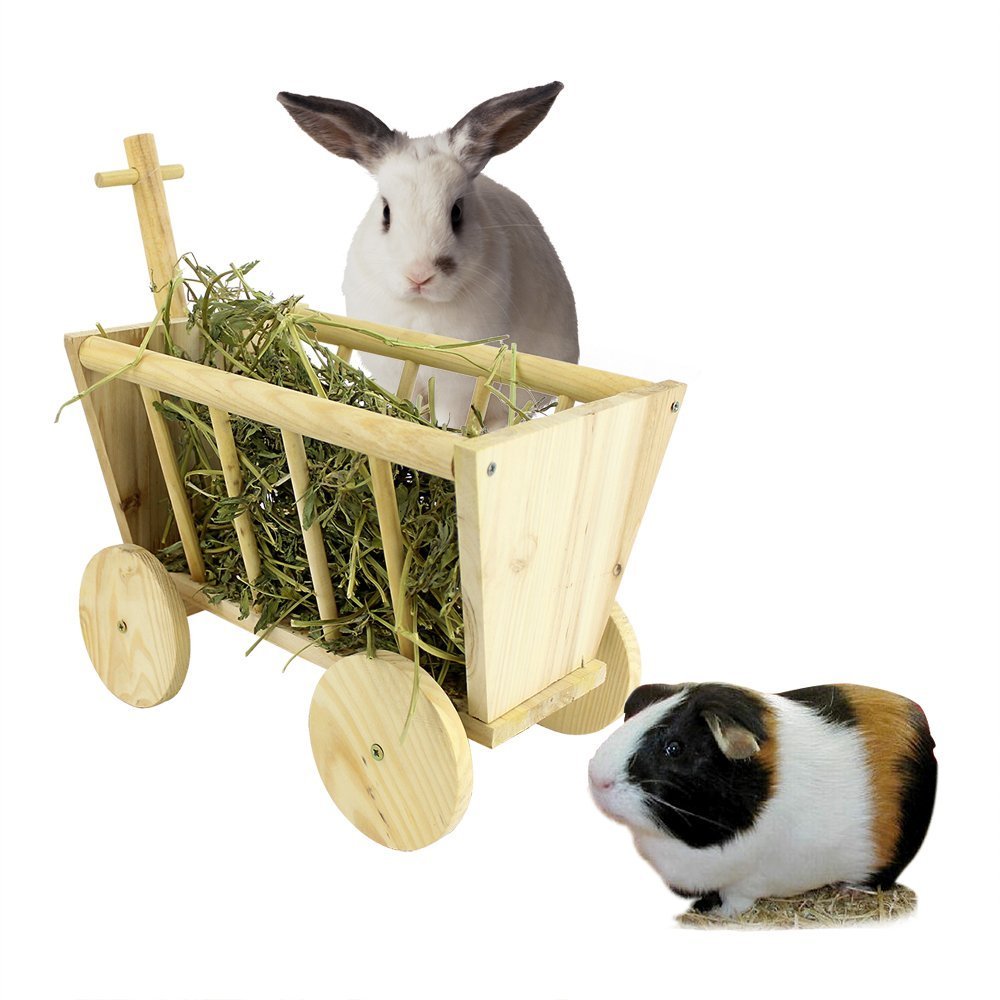 guinea pig stroller