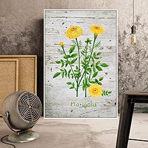 Floating Framed Canvas Wall Art for Living Room, Bedroom Plant Canvas Prints for Home Decoration Ready to Hang - 16x24 inches