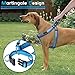 PETBABA No Pull Dog Harness, Front Clip Give Pet Choke Free Walking, Reflective Safety at Night, Step-in Vest with Martingale Handle Suitable Controlling in Heavy Traffic in Blue