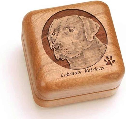 box labrador