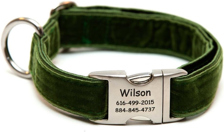 Rita Bean Engraved Buckle Personalized Dog Collar - Green Velvet (Medium)