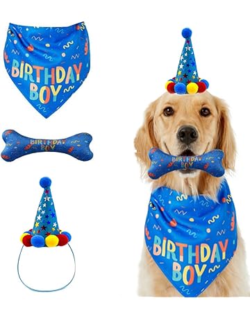 petsmart party hat