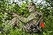ALPS OutdoorZ NWTF Grand Slam Turkey Vest XL, Mossy Oak Obsession
