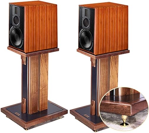 professional speaker mounts