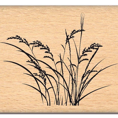 Florilèges Design FE112005 Fine Herbs Beige Scrapbooking Stamp, 5 x 7 x 2.5 cm
