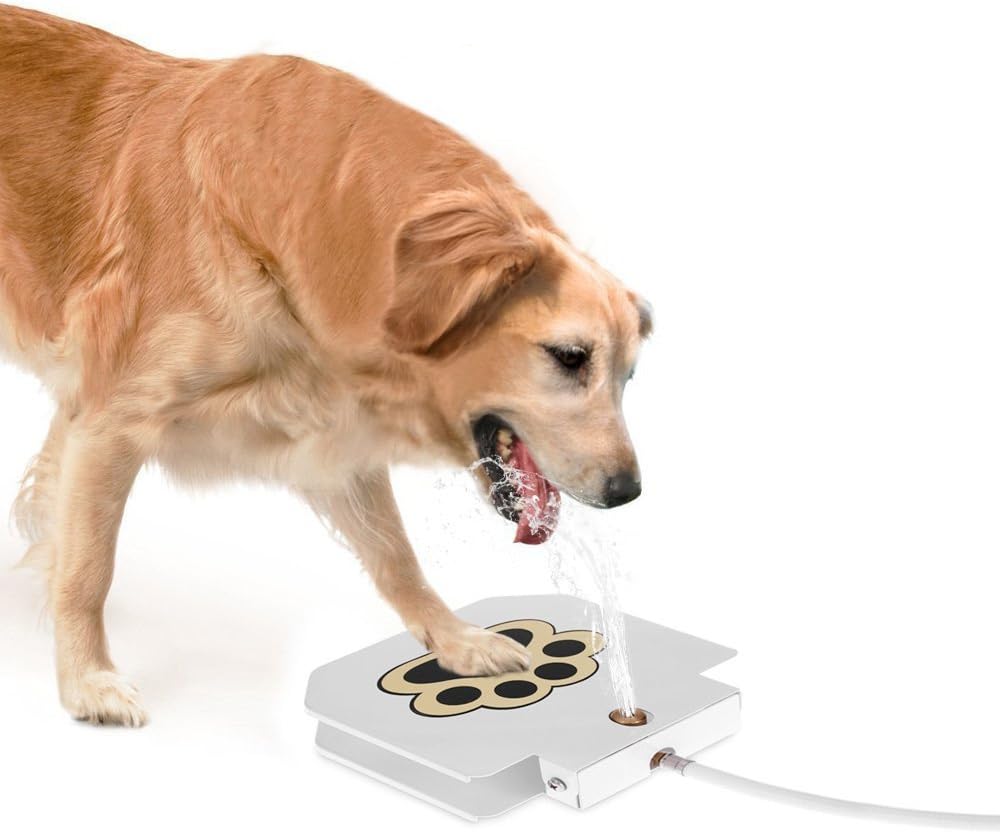 best magnetic dog collar