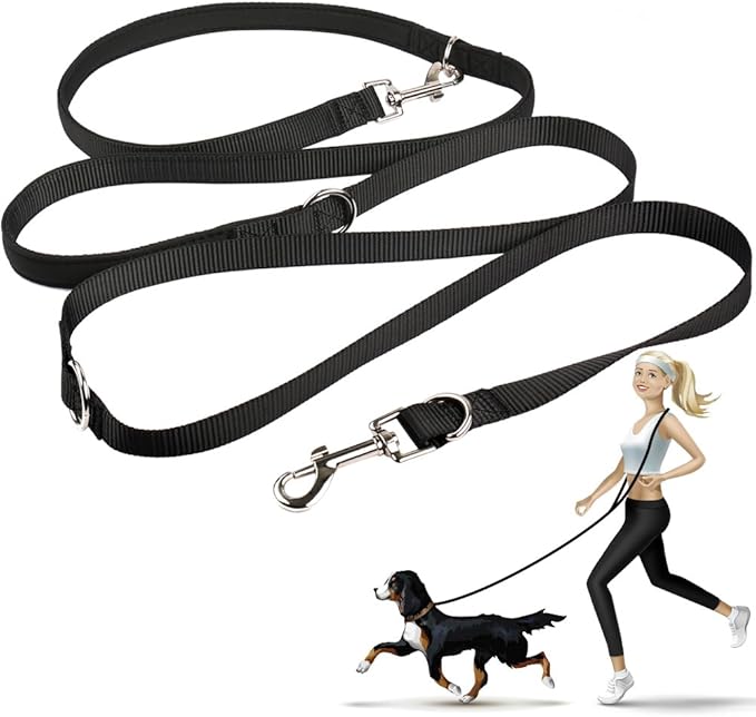 easy leash training dog