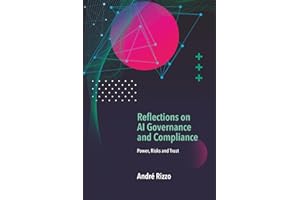 Reflections on AI Governance and Compliance: Power, Risks and Trust