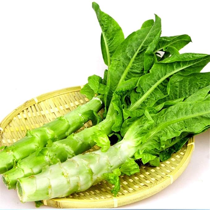 Potseed Chinese Celtuce Aparagus Stem Lettuce 200 Seeds NonGMO