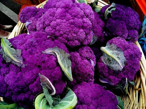 Purple Cauliflower - 4 Plants - 2.5" Pots