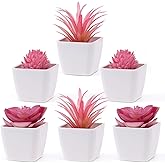 Woration 6Pcs Mini Artificial Succulent Plants Fake Plastic Succulents Potted for Garden Office Home Desk Decorations Floral Arrangement Craft- White Pots