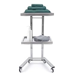 CHINEGER 2 Tier Metal Rolling Cart Foldable Salon