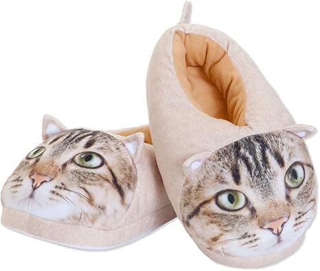 tabby cat slippers
