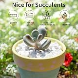 FANTIAN White Stones 4lbs 6-9 mm for Plants Decor Garden Pebbles view 4