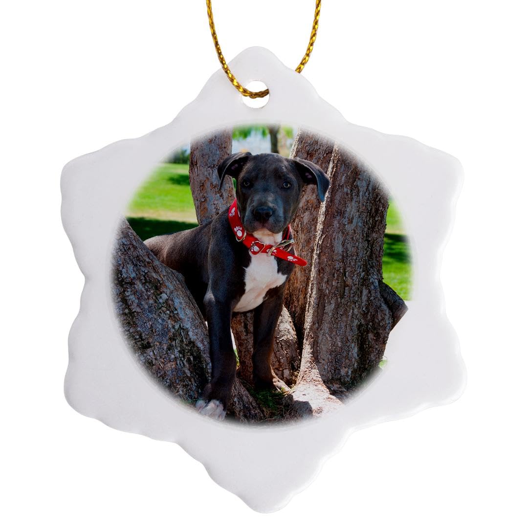 3dRose Staffordshire Bull Terrier Puppy in a Tree Snowflake Ornament, Porcelain, Multi-Colour, 3-Inch