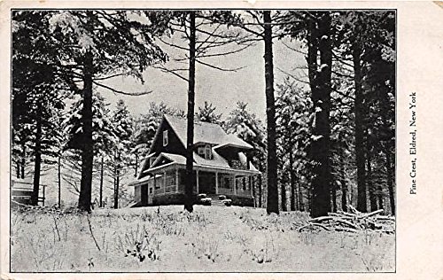Pine Crest Eldred New York Postcard At Amazon S Entertainment