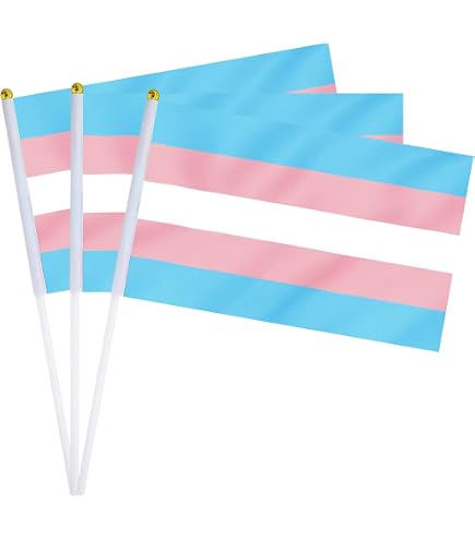 2 Pack Transgender Pride Desk Flags - Mini Rainbow LGBT Table Flags With Stand Base - View #4