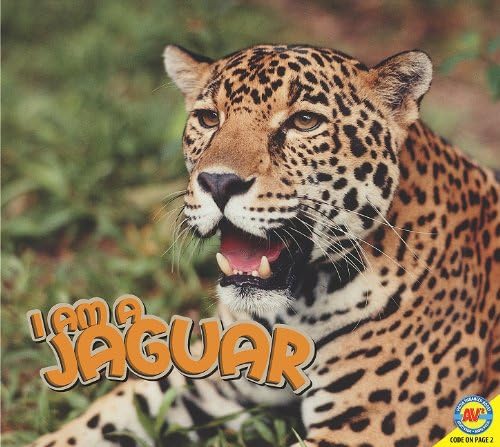 I am a Jaguar Library Binding – July 15, 2011