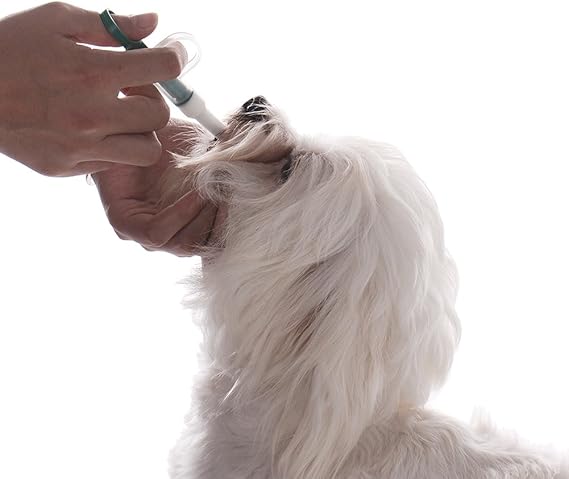 Lance Pilule Seringue Distributeur De Medicament Comprime Avec Un Embout Doux Pour Animal Domestique Chien Chat Chaton Amazon Fr Animalerie