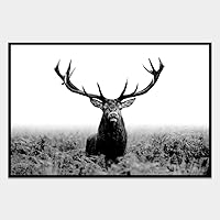 SIGNWIN Framed Canvas Wall Art Wild Animals Canvas Prints Home Artwork Decoration for Living Room,Bedroom - 16
