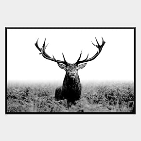 SIGNWIN Framed Canvas Wall Art Wild Animals Canvas...