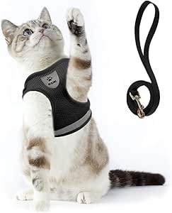 cat body leash