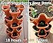 5 Tier Stackable Strawberry, Herb, Flower, and Vegetable Planter – Vertical Garden Indoor/Outdoorthumb 4