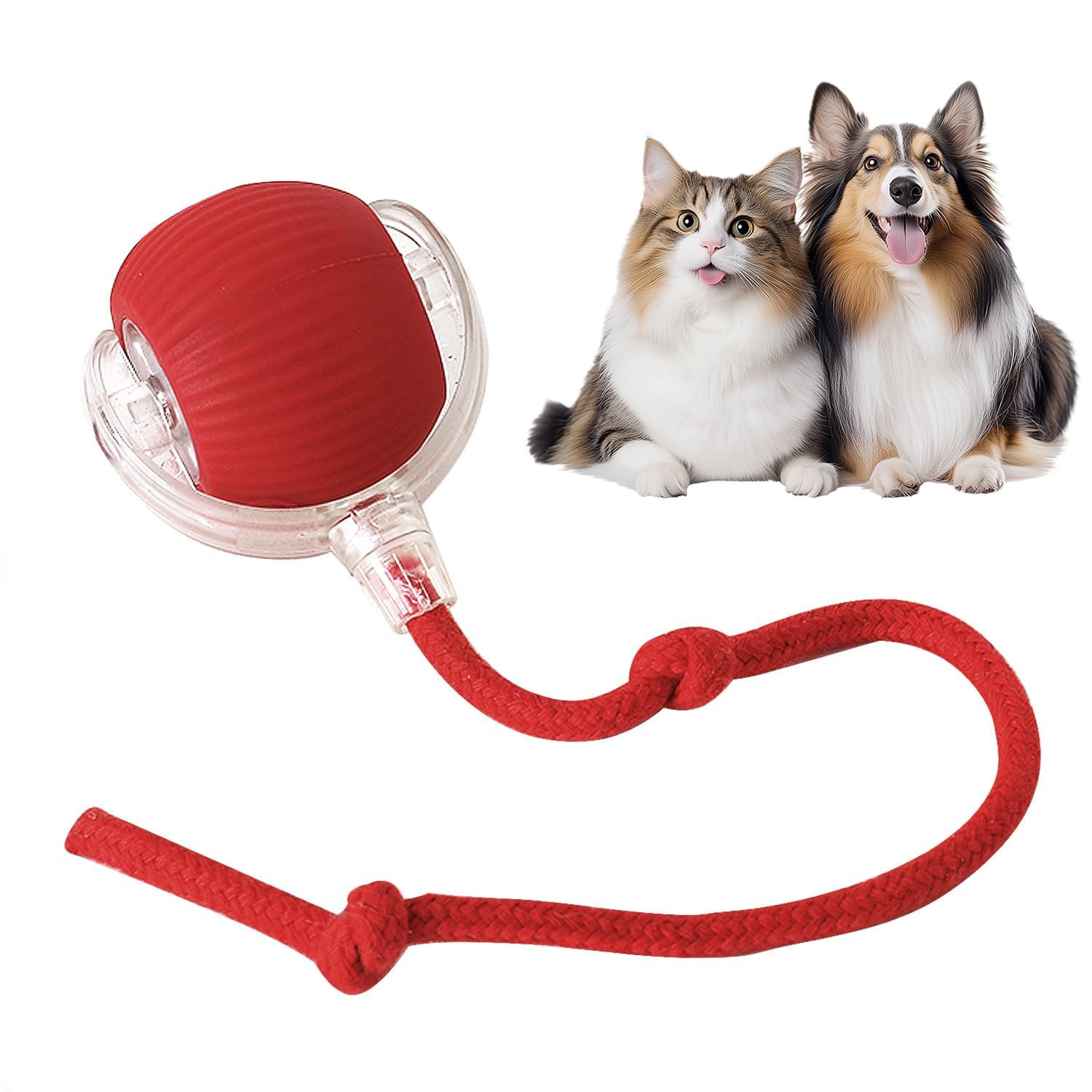 Photo 1 of Interactive Cat Toys Ball,Movable Cat Toys, Smart 360° Automatic Rolling Pet Ball, USB Rechargeable, Ideal Christmas Halloween Pet Gift, Relieves Boredom for Indoor Cats