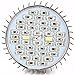Msliy 30 or 50 or 80W Grow Light 120 Degree LED Grow Light Bulbs