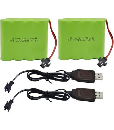 Gecoty® Piles AA Rechargeables Ni-MH, Batterie RC 4.8V 2400mAh avec