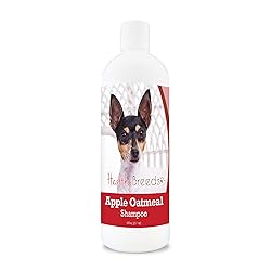 Healthy Breeds Toy Fox Terrier Apple Oatmeal