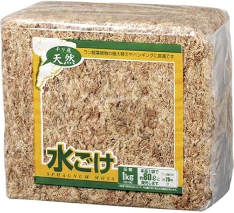Amazon コーナン オリジナル 天然水ごけ 1kg 用土 Amazon コーナン オリジナル 天然水ごけ 1kg 用土