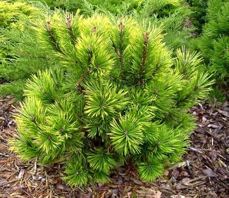 áááááá¨áá ááá£áá á¡á£á ááá