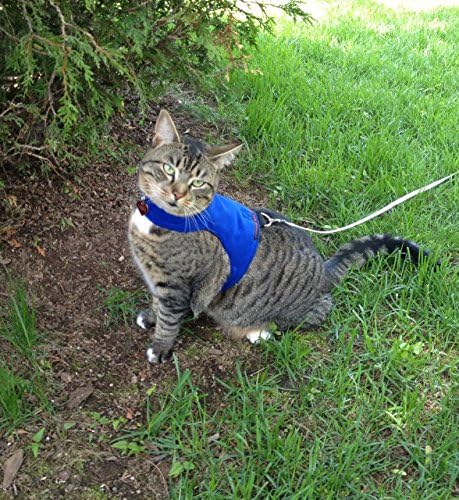 Mynwood Cat Jacket/Harness Blue Fleece Adult Cat