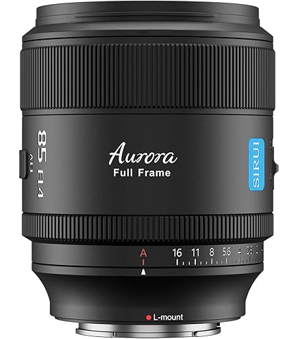 Amazon.com : SIGMA 135mm F1.8 DG HSM Art for L Mount Cameras