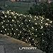 Lampat Solar String Lights, 300 Led Holiday String Lighting Outdoor Solar Patio Lights Fit Christmas Garden Wedding Party Landscape[Warm White], 2 Pack 600 LED