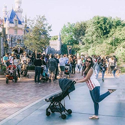 bitsy compact stroller