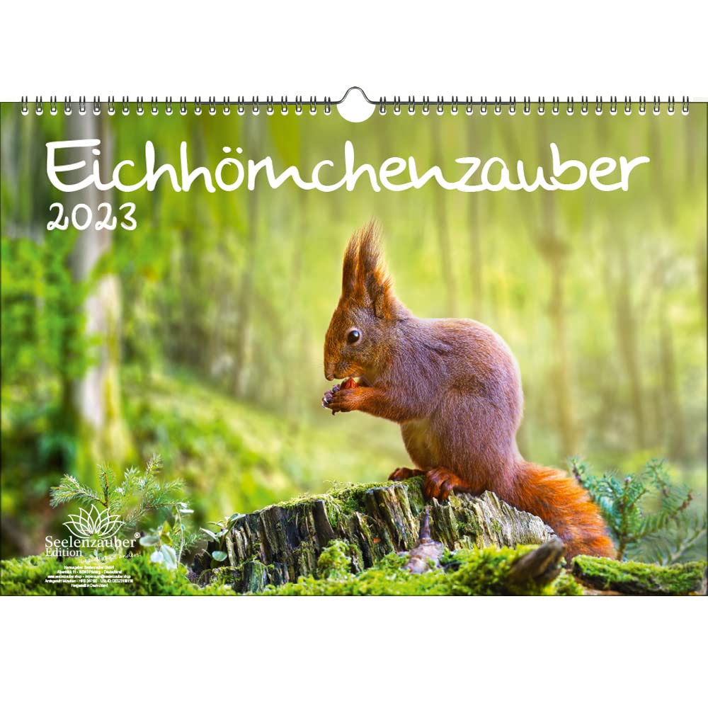 Squirrel Magic DIN A3 Calendar for 2023 Squirrel - Soul Magic, Multi-Colour, KN2023-3W-0003-D-0