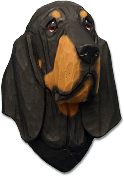 black tan bloodhound