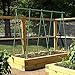 Ecostake Garden Stakes 5-Ft for Climbing Plants Supports Pole 20 Pack Rust-free Plant Sticks Fence Post