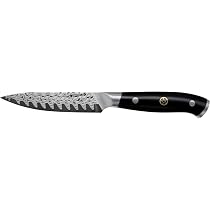 HENCKELS Compass Damascus 8-inch Damascus Chef's Knife : Amazon.ca