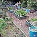 KING BIRD Extra-Thick 2-Ply Reinforced Card Frame Raised Garden Bed 68''x36''x12'' x2 Pack Galvanized Steel Metal Planter Kit Box with 16pcs T-Types Tags & 2 Pair of Gloves Grey