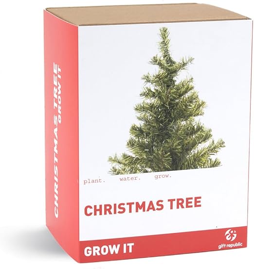 Gift Republic Grow It Grow Your Own Christmas Tree Amazon Co Uk Garden Outdoors
